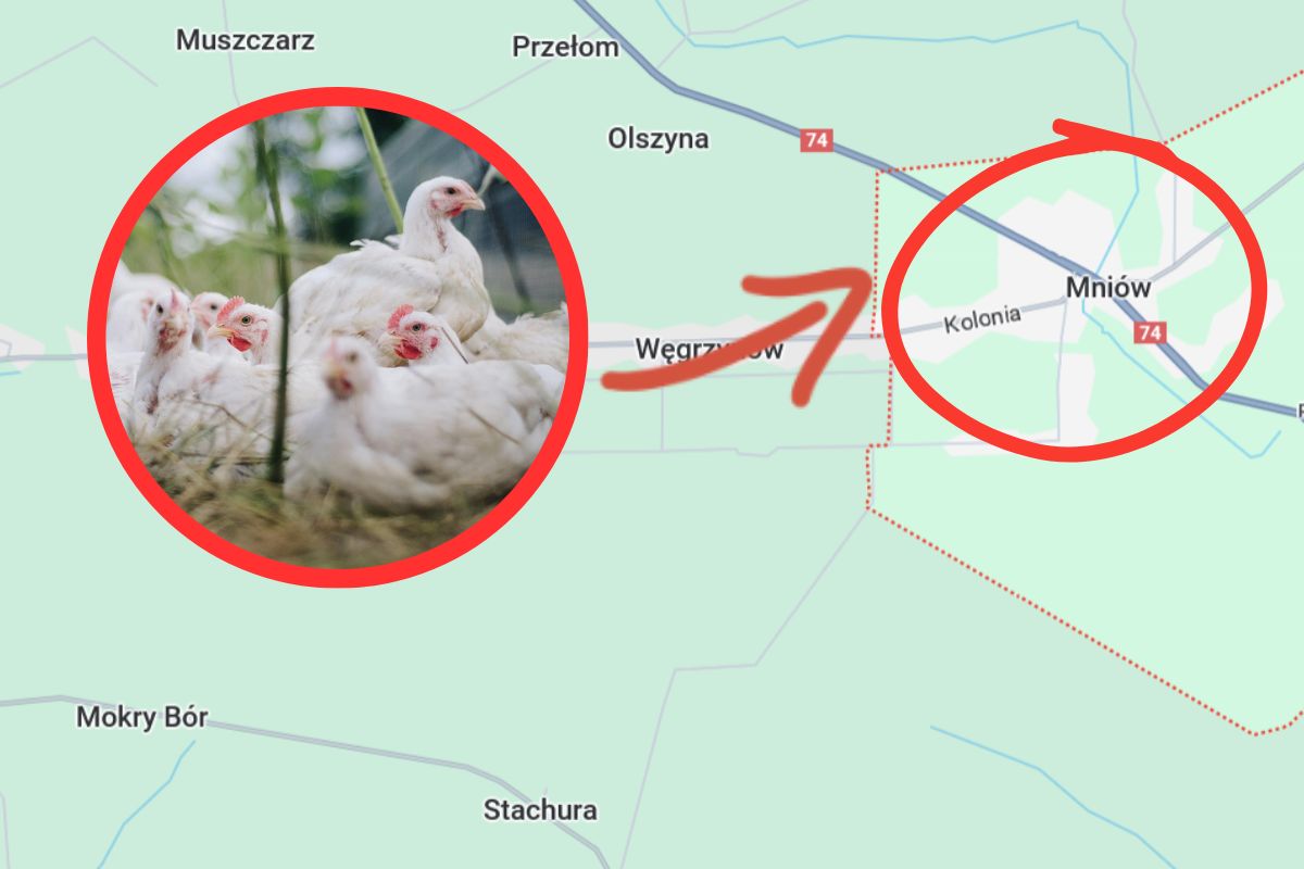 Do pomoru miało dość na terenie gminy Mniów 