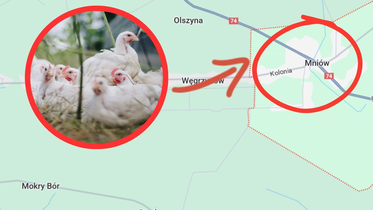 Do pomoru miało dość na terenie gminy Mniów 