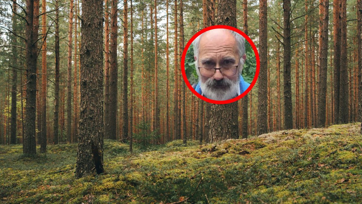 Grzybobranie w grudniu? To możliwe.