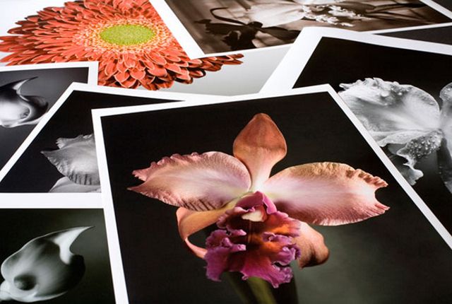 Jak ujarzmić czerń i biel w fotografii cyfrowej – część 3 [poradnik] 5