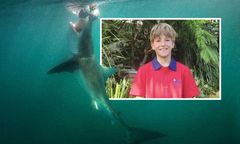 Nie żyje 12-latek po ataku rekina. Władze Sydney zamykają plaże i wzmacniają patrole