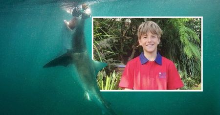 Nie żyje 12-latek po ataku rekina. Władze Sydney zamykają plaże i wzmacniają patrole