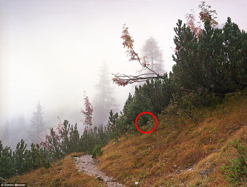 Simon Menner sfotografował snajperów niemieckiej armii. Tylko gdzie oni się podziali? 13
