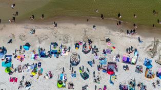 Krynica Morska: Projekt Plaża od 15 sierpnia dla turystów. Potrwa trzy dni. Co to w praktyce oznacza?