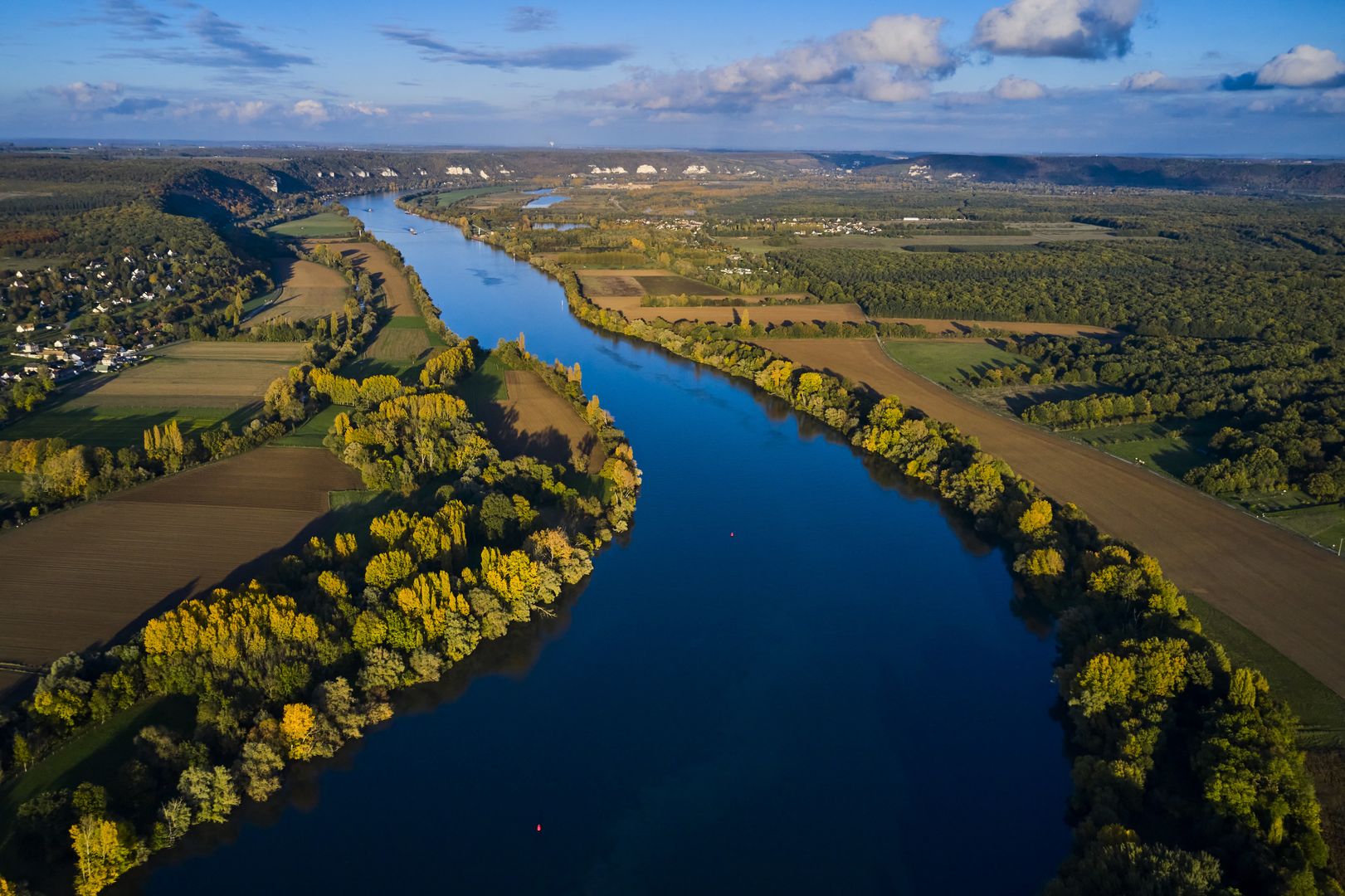 Jak dobrze znasz zwierzęta żyjące w europejskich rzekach? Sprawdź się!