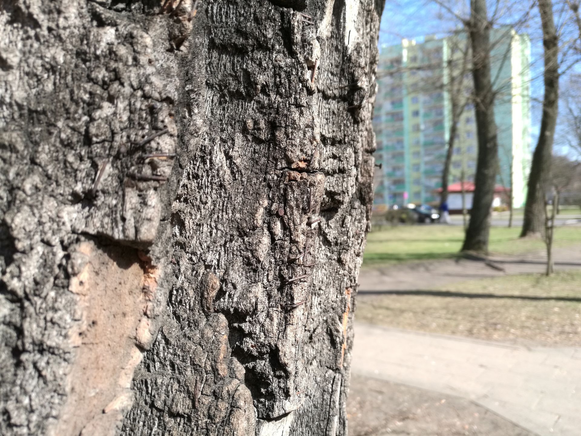 Huawei Mate 8 - test i recenzja 46