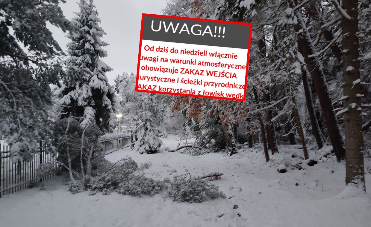 Sypnęło śniegiem. "Konary lecą nam na głowę"