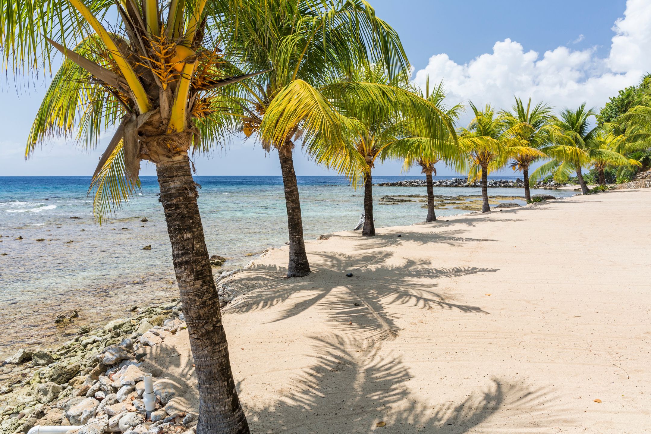 Pasażerowie nie dotarli na wyspę Roatan