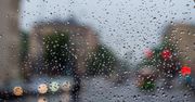 Front nad Polską. Zmienna aura utrudni zbiory i opryski
