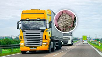 Pleśń i szkodniki. To znaleźli w żywności z kraju Mercosur