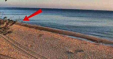 Kamera przyłapała go o 5:40. Ujęcie z plaży w Chłapowie