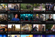 Serwis streamingowy Canal+