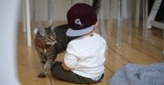 Adopcja kota pozytywnie wpływa na dzieci z autyzmem