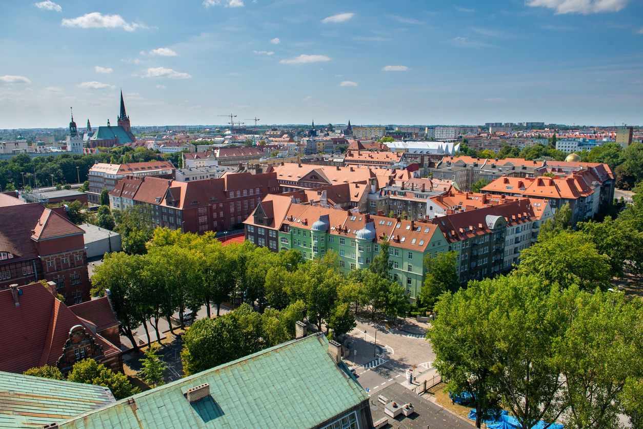 W centrum Szczecina wycięto 200 drzew. "Spodziewaliśmy się tego"