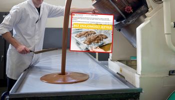 Niemcy podali, ile płacą. Natychmiastowe reakcje Polaków