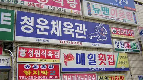 Nowa wersja MyDooma odpowiedzialna za ataki DDoS w Korei 1