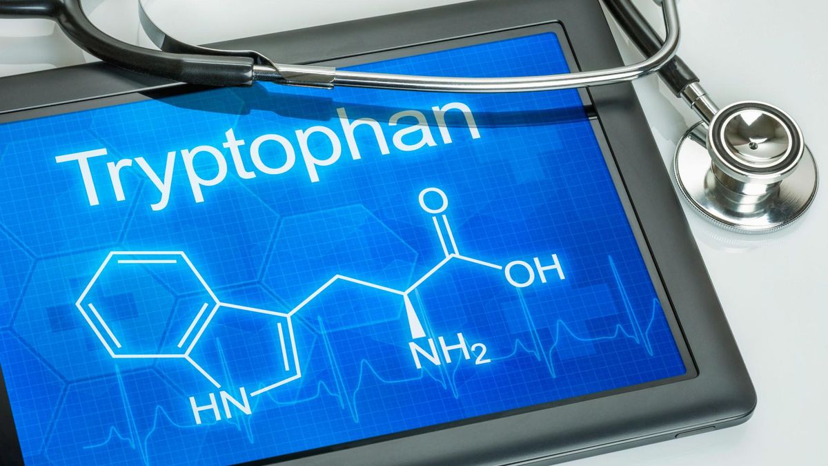 Tryptofan bierze udział w syntezie białek