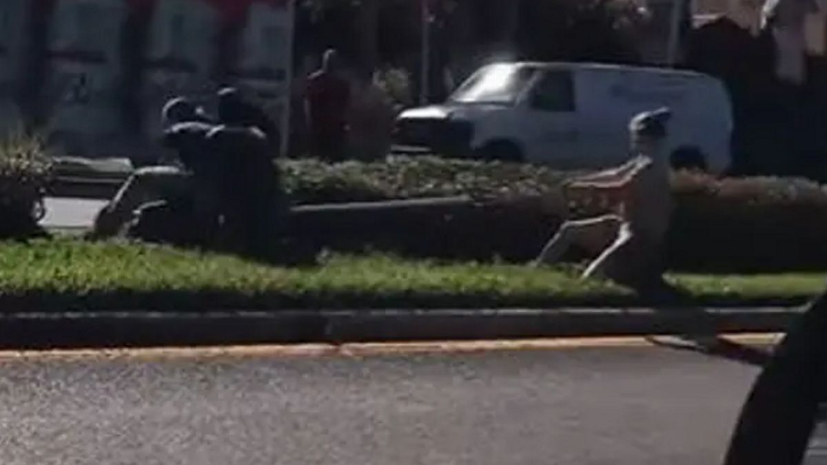 Na szczęście ogromnego krokodyla udało się złapać