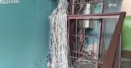 Pnącza z kabli elektrycznych. Elektryk złapał się za głowę