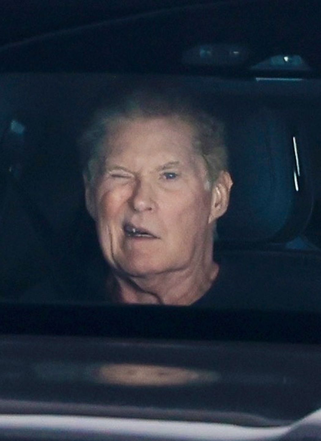 David Hasselhoff