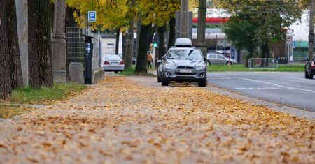 Strefa Płatnego Parkowania w Lublinie. Czy 1 listopada w uroczystość Wszystkich Świętych obowiązuje płatny parking?
