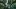 Najnowsze doniesienia z frontu Call of Duty: Black Ops