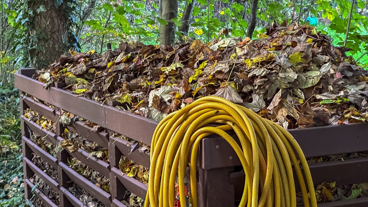 Wooden compost bin in the garden.Malorny
