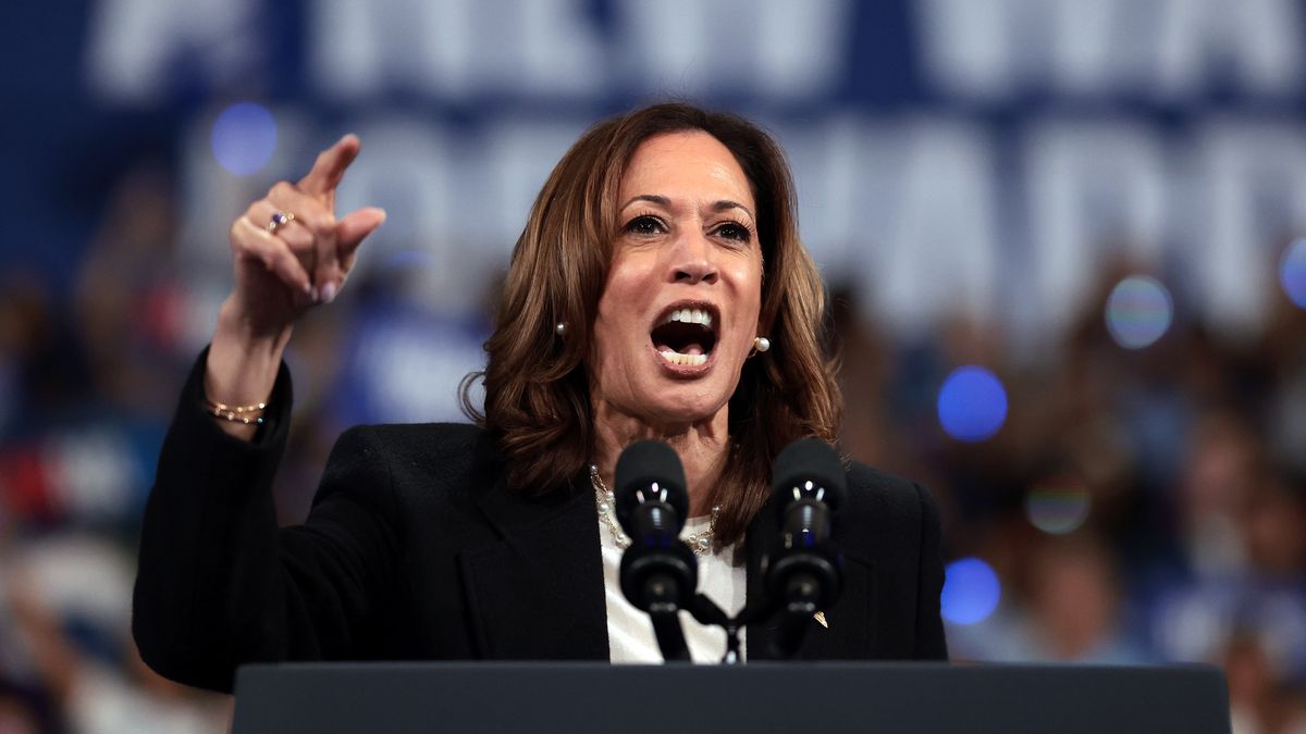 Sztab wyborczy Kamali Harris rozpoczyna walkę o głosy Polonii