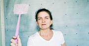 Sposób na muchy – jak pozbyć się much z domu?