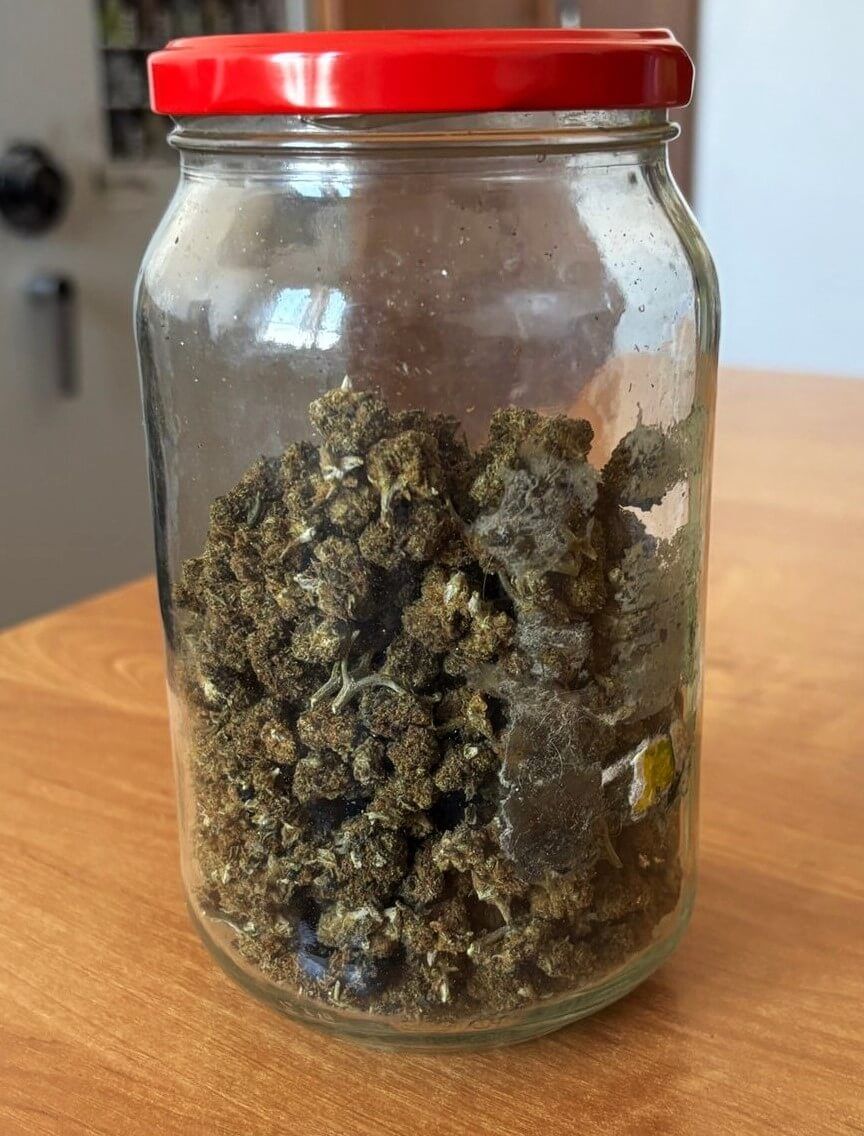 Marihuana w słoiku