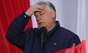 Wybory na Węgrzech. Tak głosowano w Budapeszcie