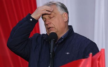 Wybory na Węgrzech. Tak głosowano w Budapeszcie