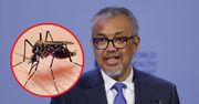 Denga coraz bardziej niebezpieczna. Wzrost nawet o 60 proc.