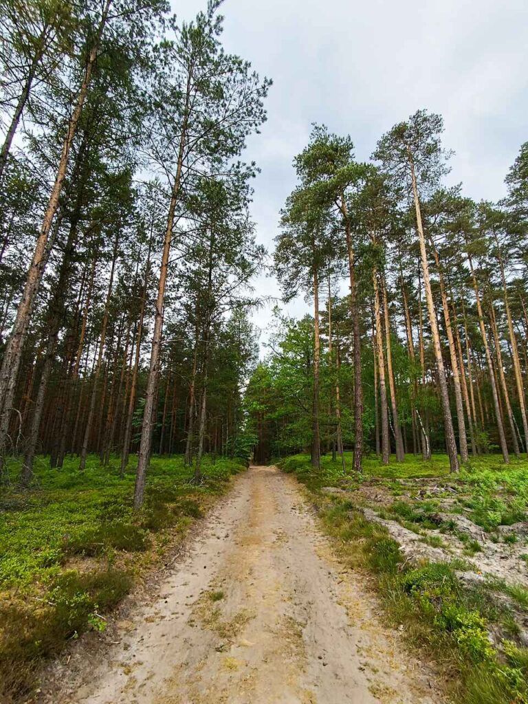 Park Krajobrazowy Lasy nad Górną Liswartą