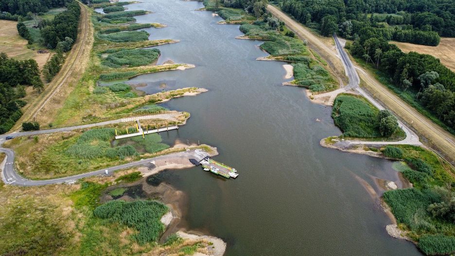 Katastrofa ekologiczna na Odrze. Wody Polskie apelują do mieszkańców