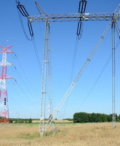 Przez opłatę mocową nasze rachunki za energię elektryczną mogą wzrosnąć o 107 zł w skali roku