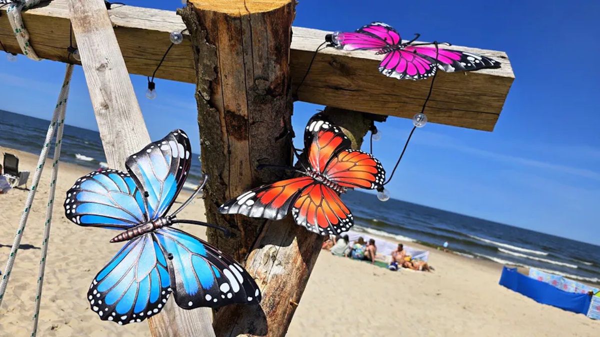 Huśtawka na plaży w Sztutowie