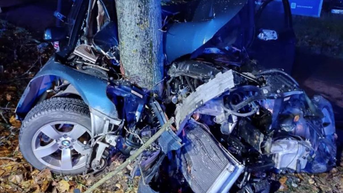 BMW wjechało w drzewo.