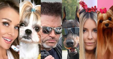 Dzień Psa w Pudelku: Gdyby celebryci byli czworonogami... (ZDJĘCIA)