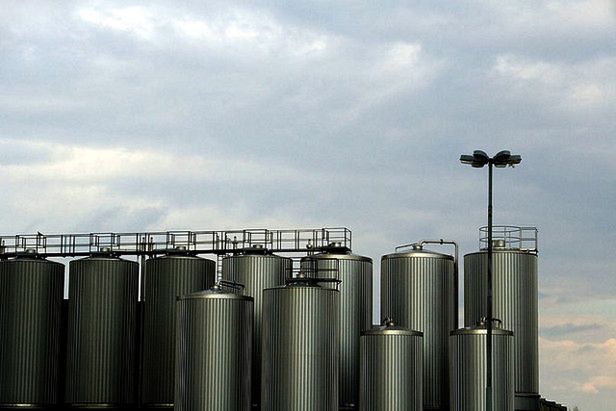 Propozycja dla UE: redukujmy pogłowie bydła zamiast emisję CO2 2