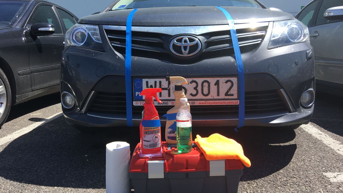 Czym najlepiej usunąć ślady po owadach?