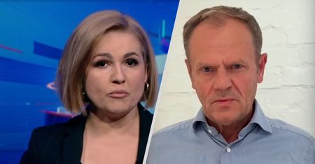 "Tusk, król politycznej lipy". TVP o zmianie poglądów przez szefa PO