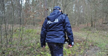 Horror w lesie. Znaleziono ciało kobiety