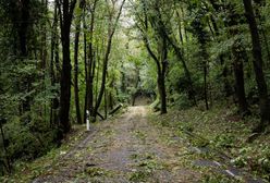 Beskidy. Powalone drzewo raniło mężczyznę