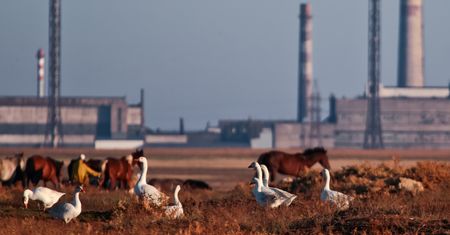 Rosjanie szykują prowokację? "Tysiące ton trujących substancji"
