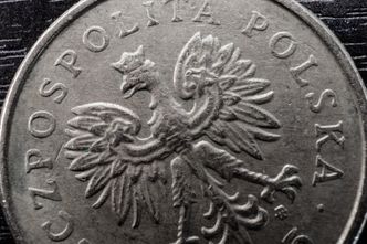 Złoty zareagował na słowa szefa Narodowego Banku Polskiego