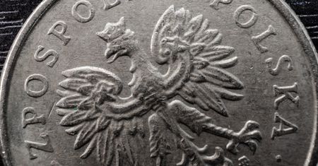 Złoty zareagował na słowa szefa Narodowego Banku Polskiego