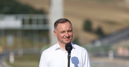 "Afera wizowa". PSL apeluje do prezydenta Dudy