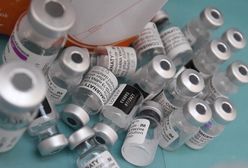 Podróbki Pfizera w Polsce. Rzecznik rządu Piotr Müller uspokaja