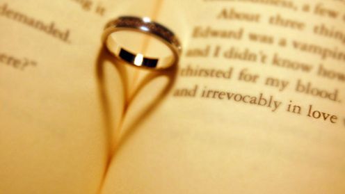 Zaręczył się, fotografując [wideo] 1